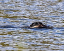20261010-JHW-0281