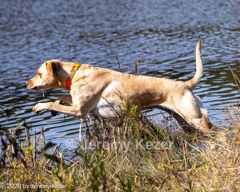 20261010-JHW-0195.jpg