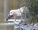 20261011-WCIW-0035