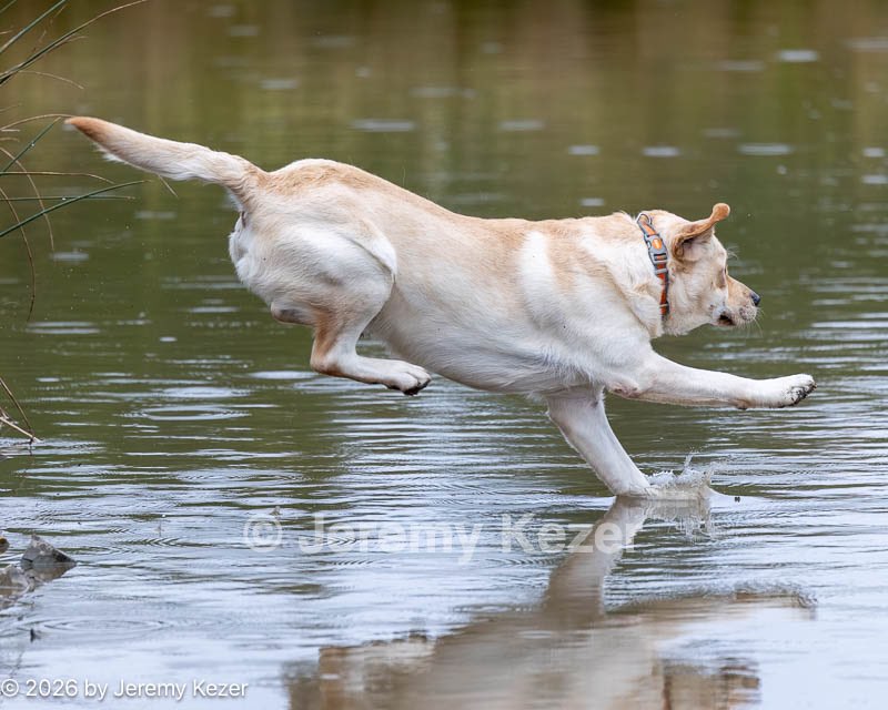 20261011-WCW-0014.jpg