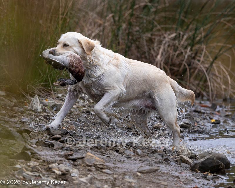 20261011-WCW-0030.jpg
