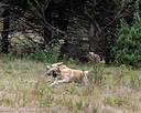 20261011-WCXL-0044