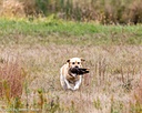 20261011-WCXL-0048