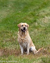 20261011-WCXL-0051