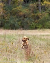 20261011-WCXL-0066