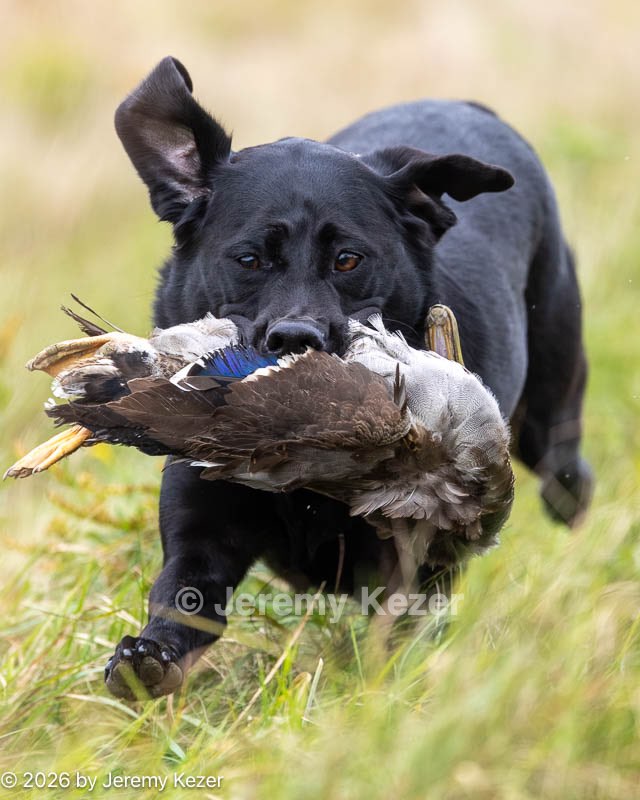 20261011-WCXL-0017.jpg