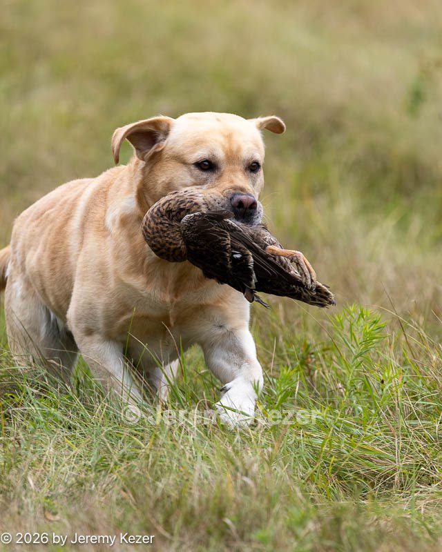 20261011-WCXL-0054.jpg